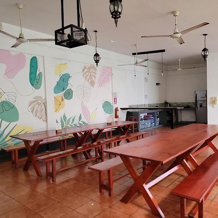 Poco A Poco Hostel León المظهر الخارجي الصورة