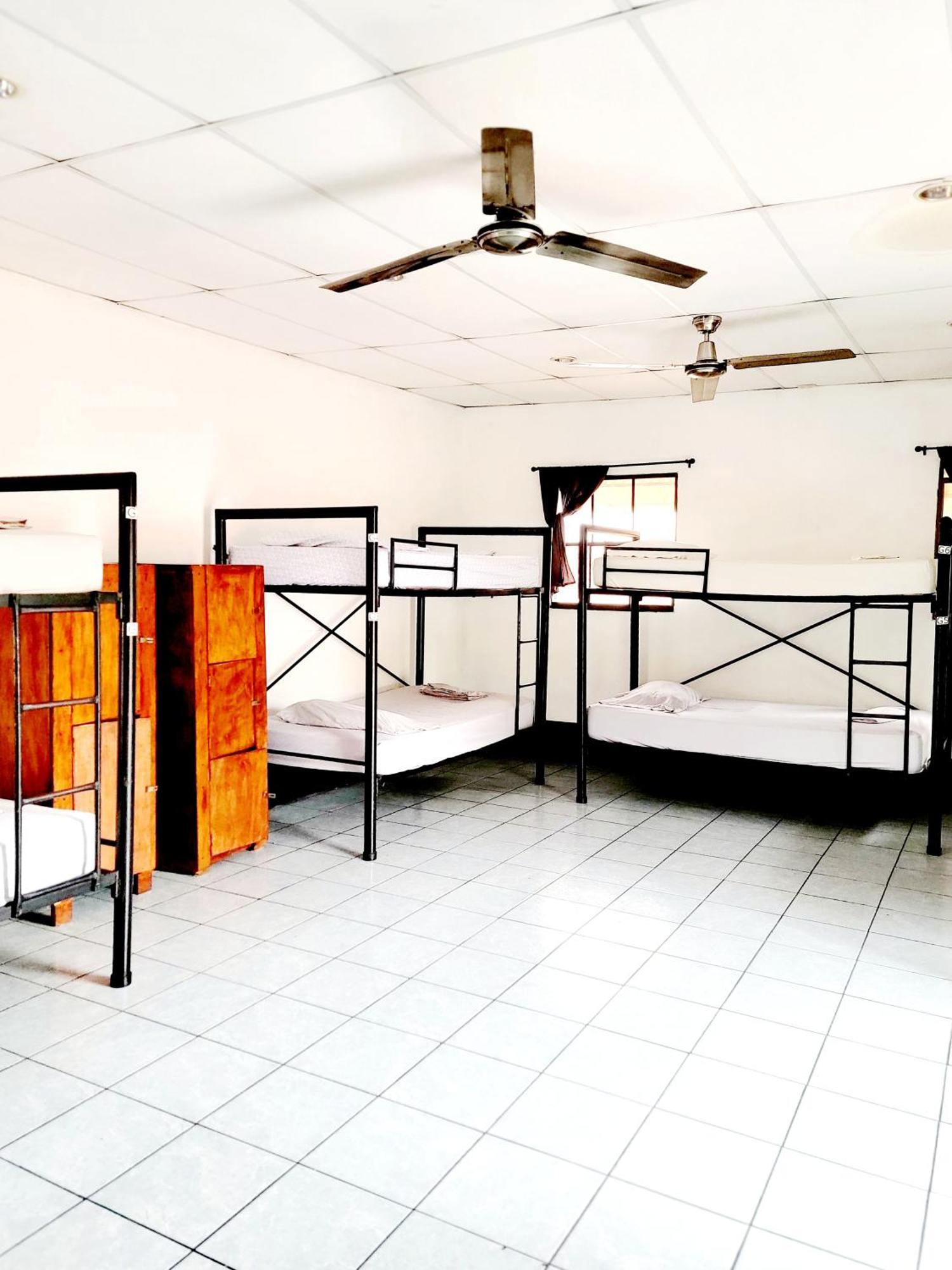Poco A Poco Hostel León المظهر الخارجي الصورة