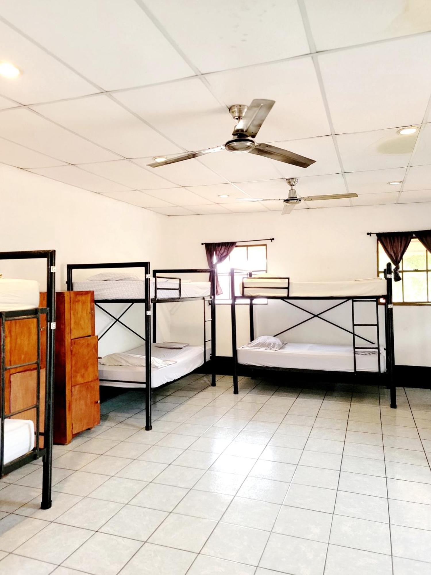 Poco A Poco Hostel León المظهر الخارجي الصورة
