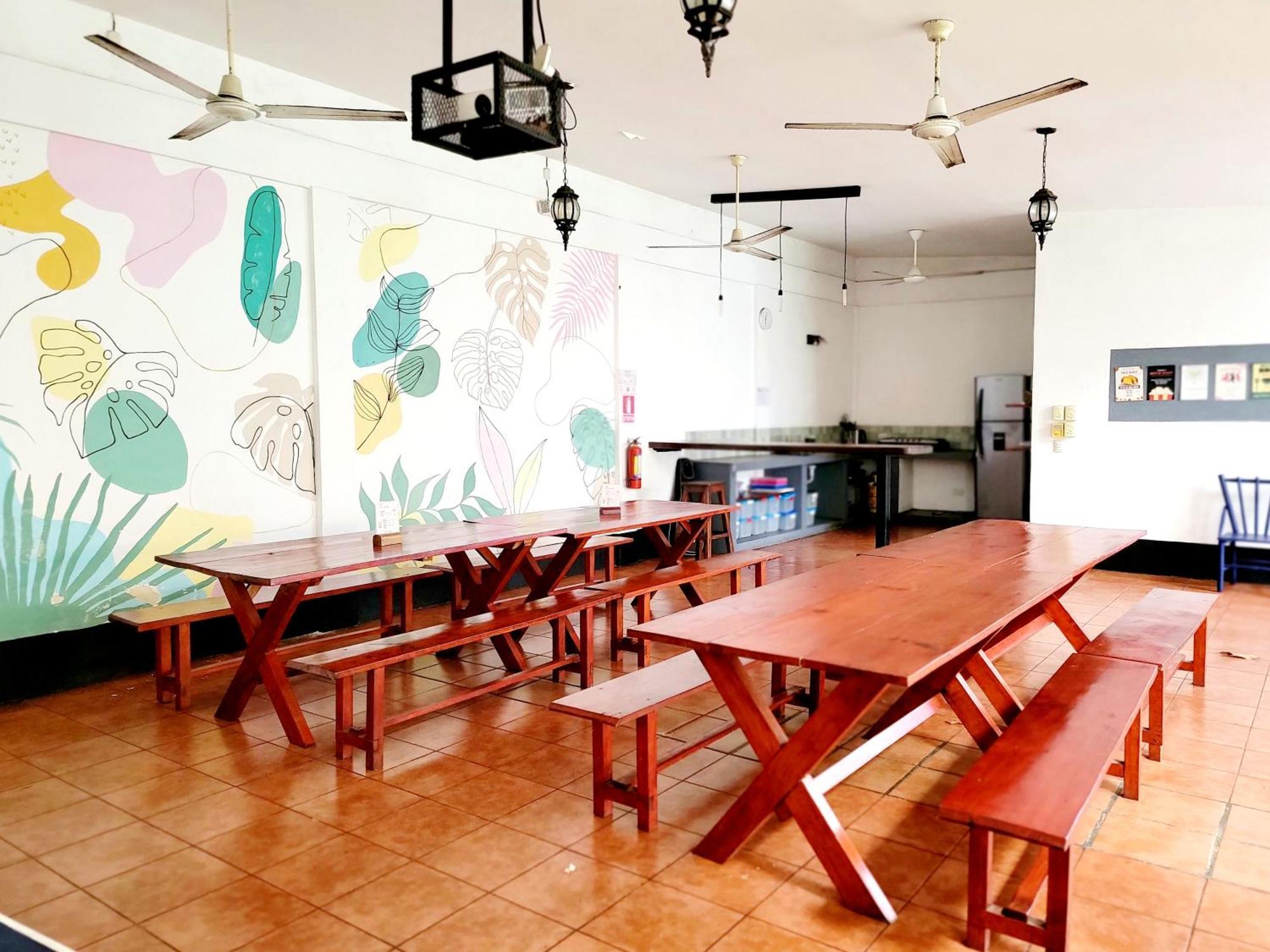Poco A Poco Hostel León المظهر الخارجي الصورة