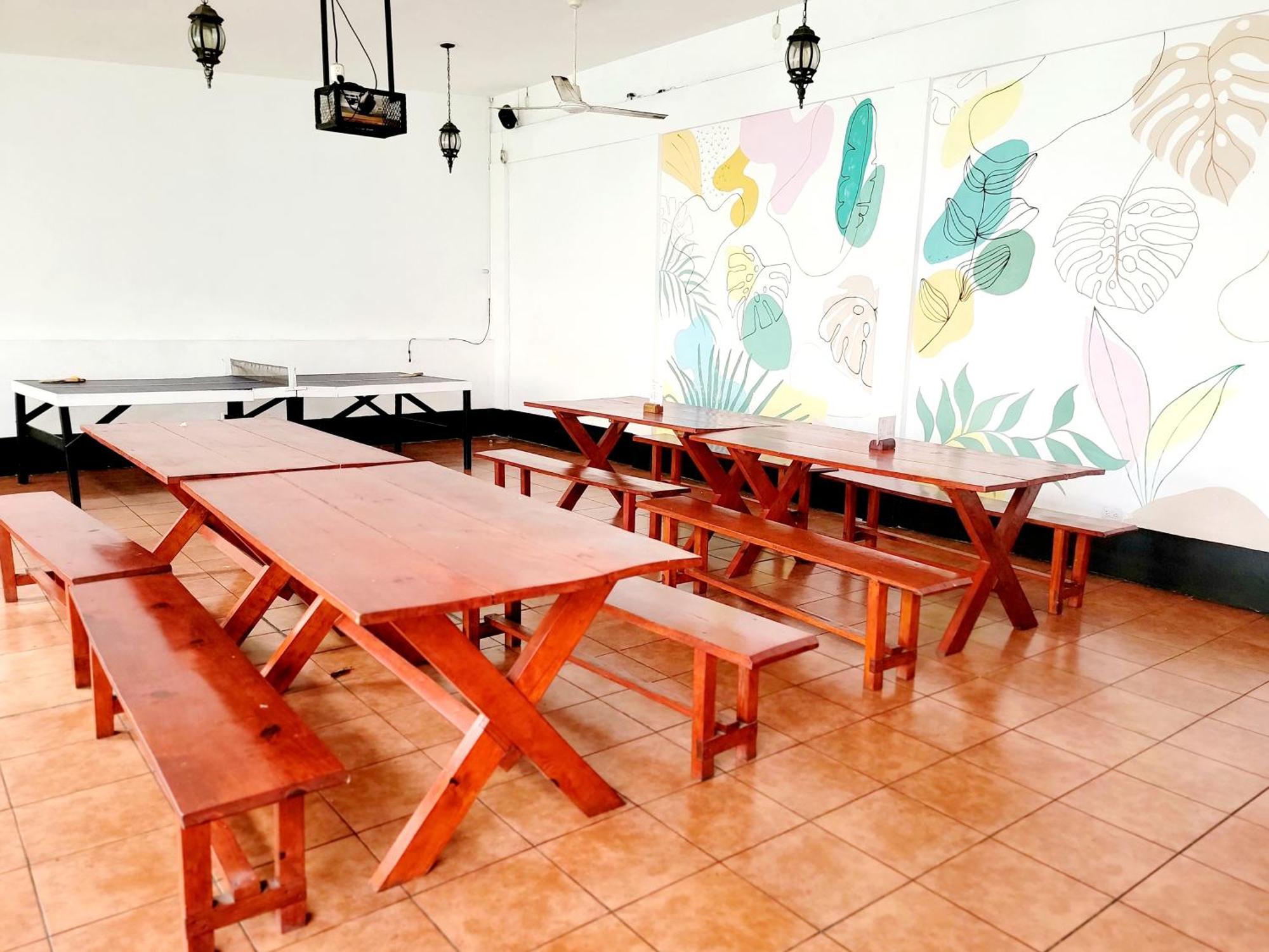 Poco A Poco Hostel León المظهر الخارجي الصورة